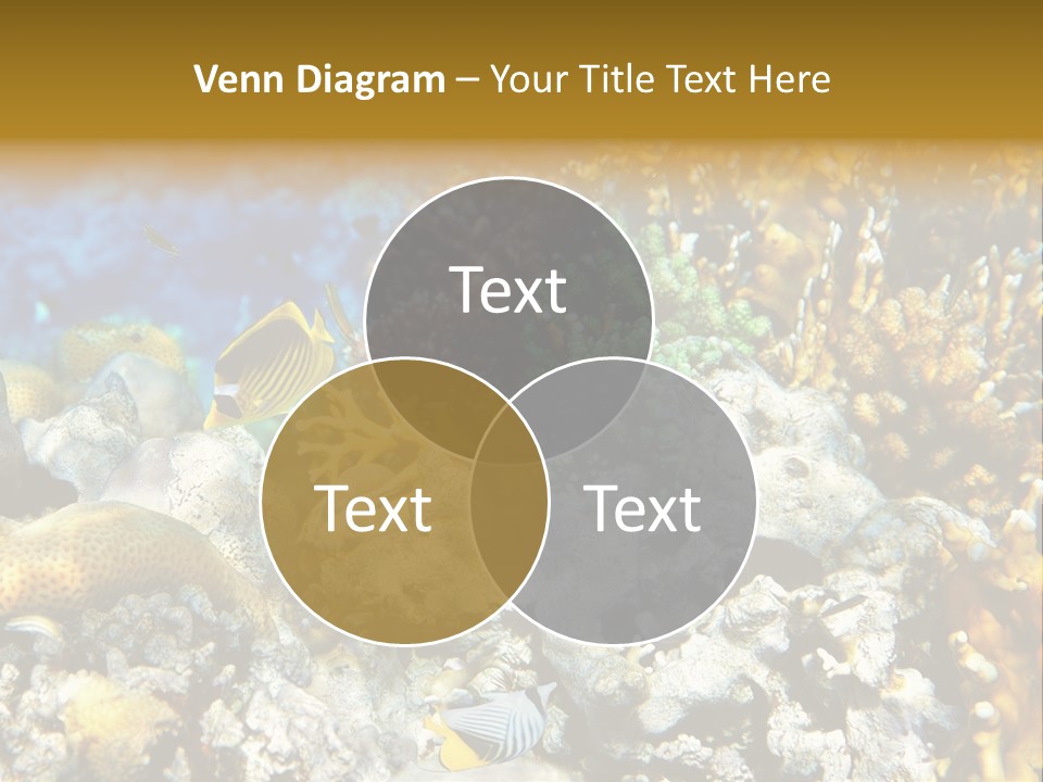 Under Scuba Brownish PowerPoint Template