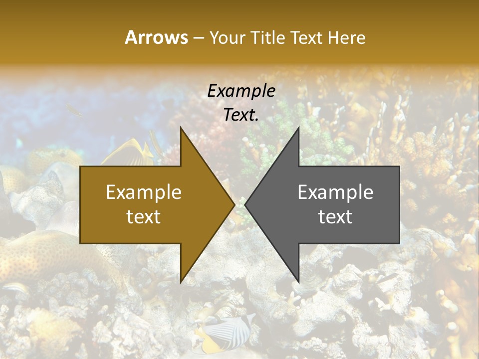 Under Scuba Brownish PowerPoint Template