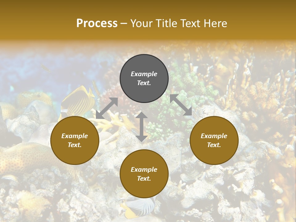 Under Scuba Brownish PowerPoint Template