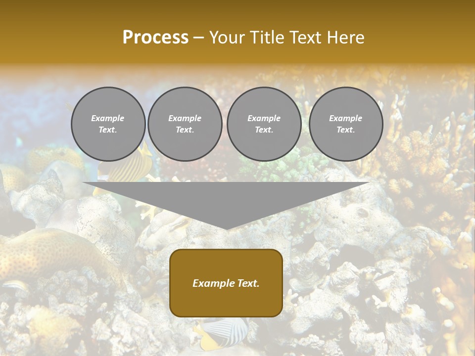 Under Scuba Brownish PowerPoint Template