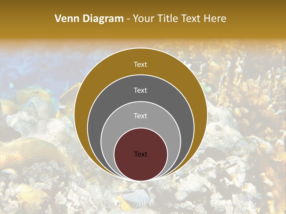 Under Scuba Brownish PowerPoint Template