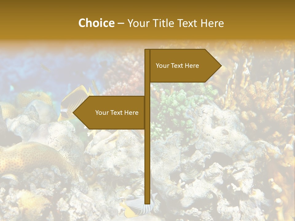 Under Scuba Brownish PowerPoint Template