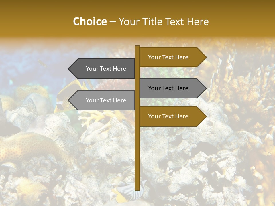 Under Scuba Brownish PowerPoint Template