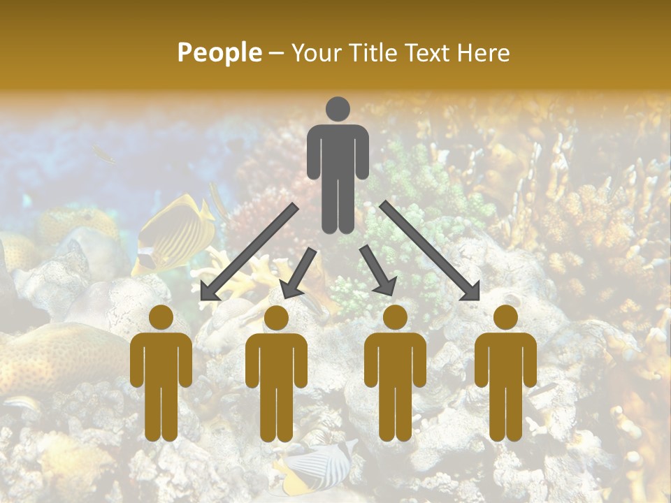 Under Scuba Brownish PowerPoint Template