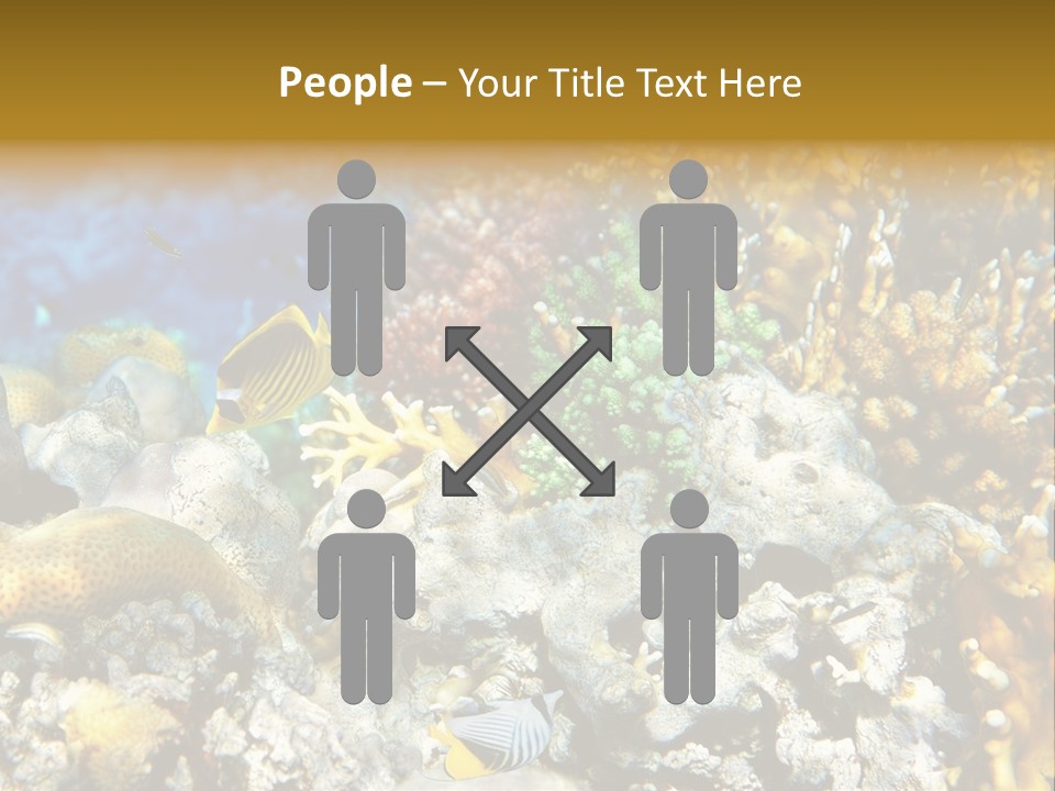 Under Scuba Brownish PowerPoint Template