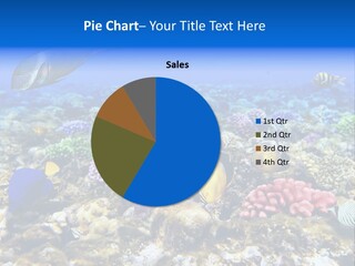 Atoll Undersea Diving PowerPoint Template