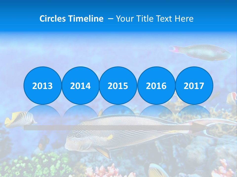 World Lagoon Colony PowerPoint Template