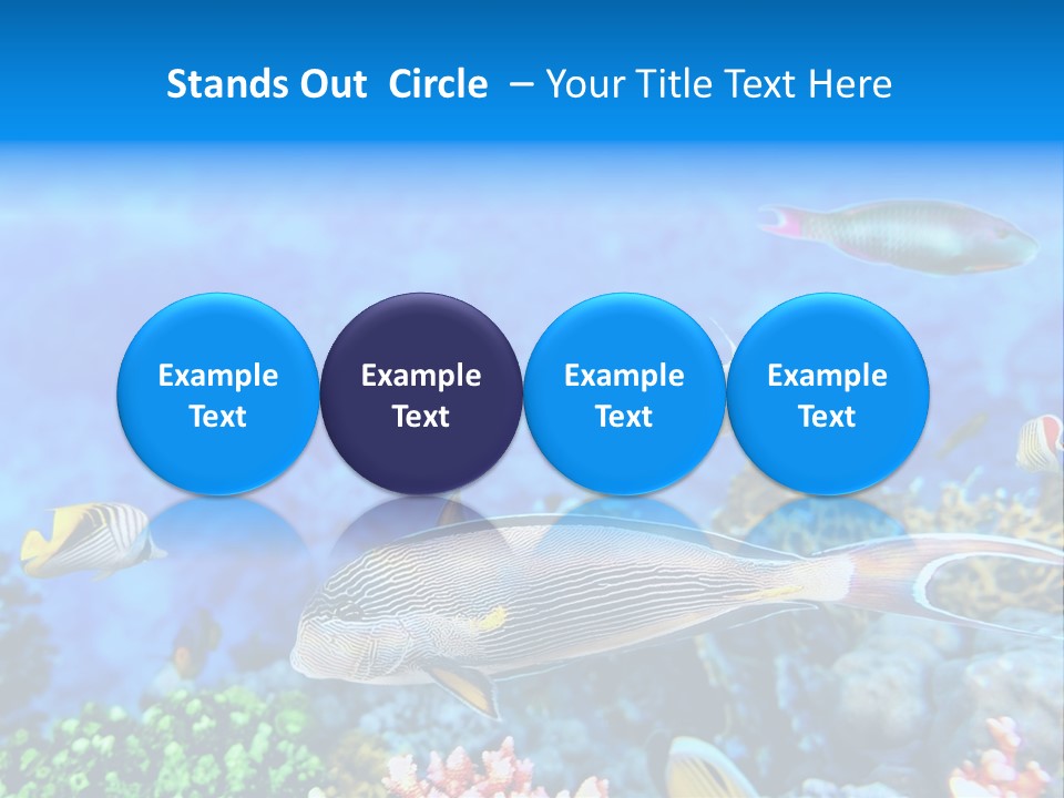 World Lagoon Colony PowerPoint Template