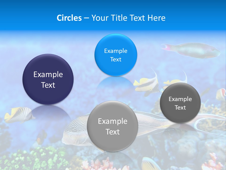 World Lagoon Colony PowerPoint Template