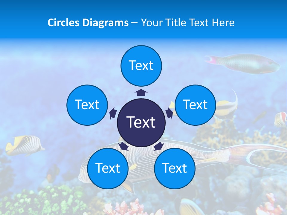 World Lagoon Colony PowerPoint Template