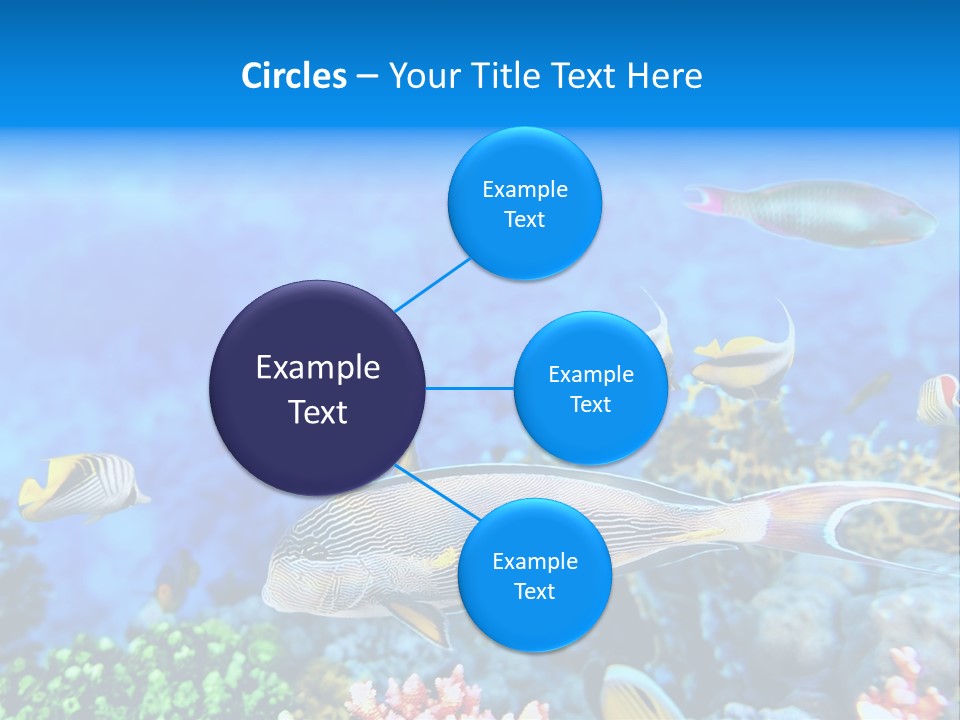 World Lagoon Colony PowerPoint Template
