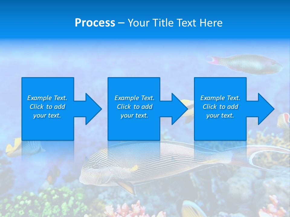 World Lagoon Colony PowerPoint Template