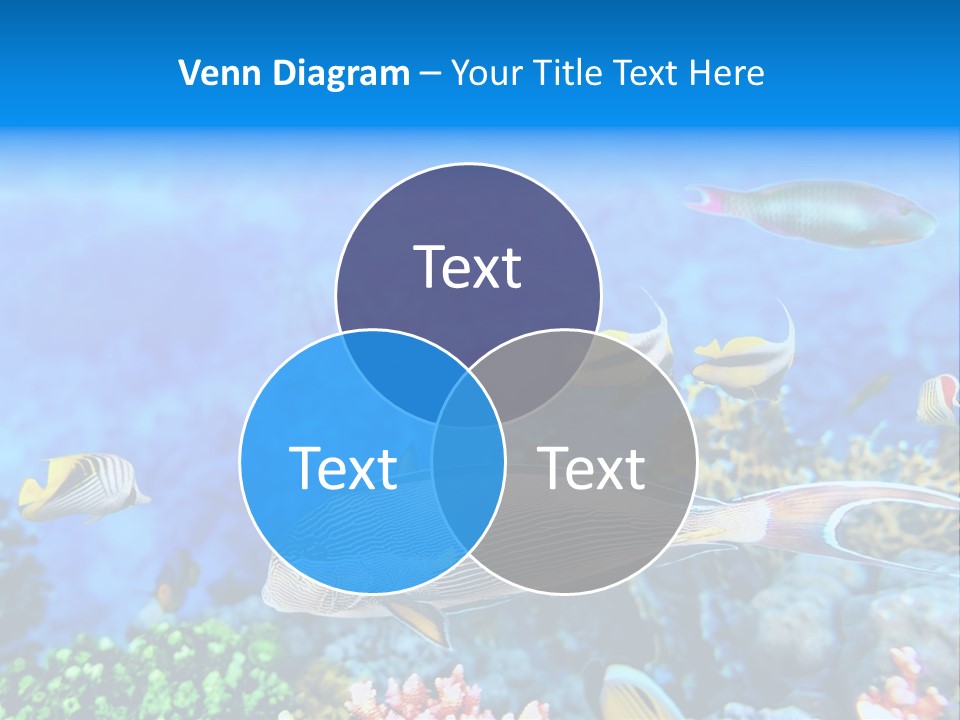 World Lagoon Colony PowerPoint Template