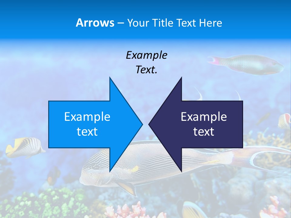 World Lagoon Colony PowerPoint Template