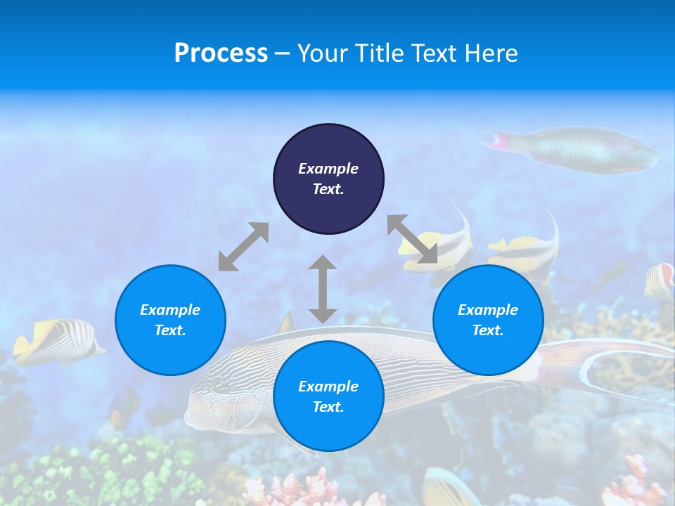 World Lagoon Colony PowerPoint Template