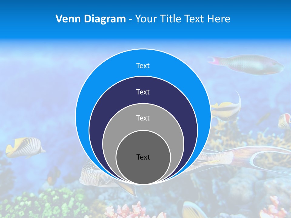 World Lagoon Colony PowerPoint Template