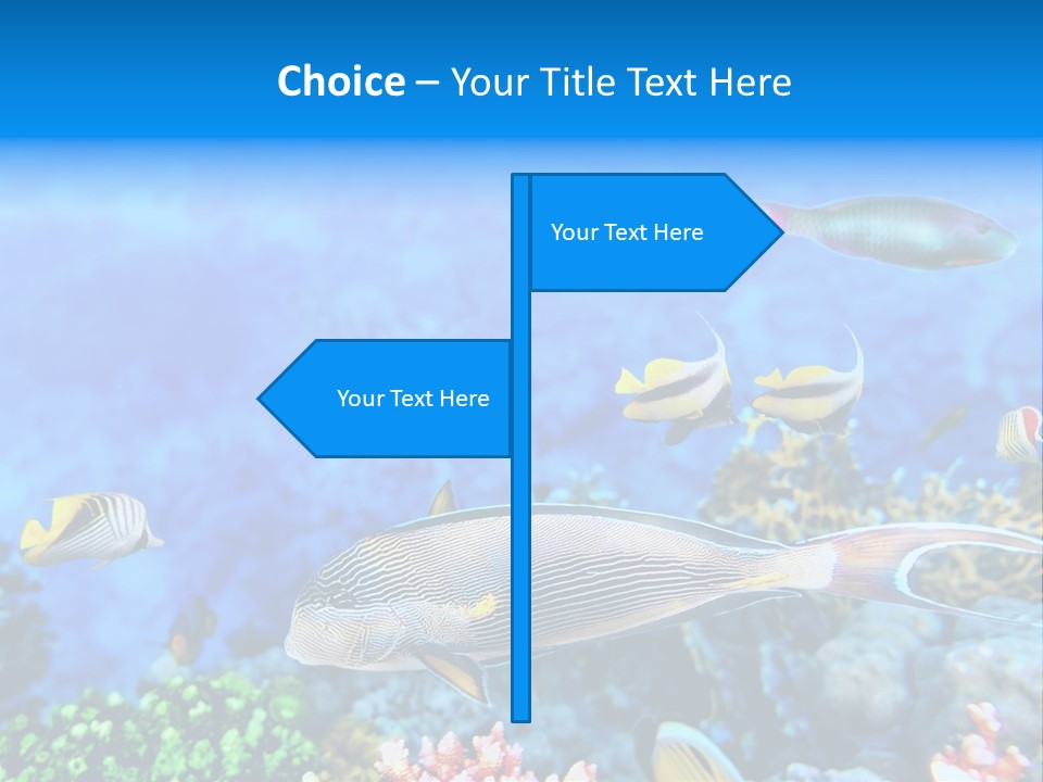 World Lagoon Colony PowerPoint Template