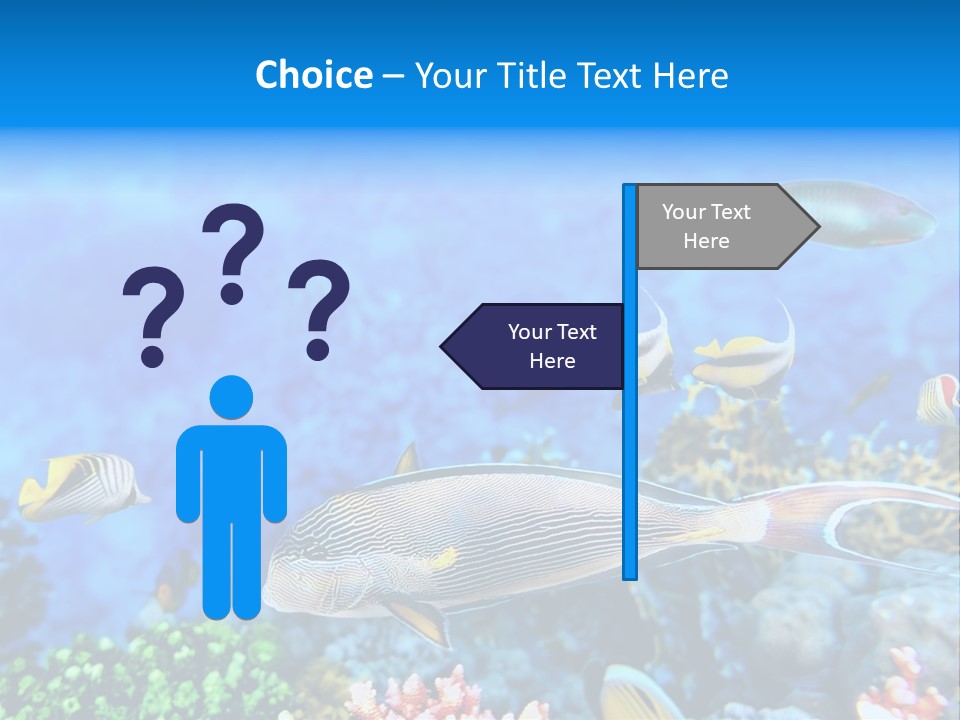 World Lagoon Colony PowerPoint Template