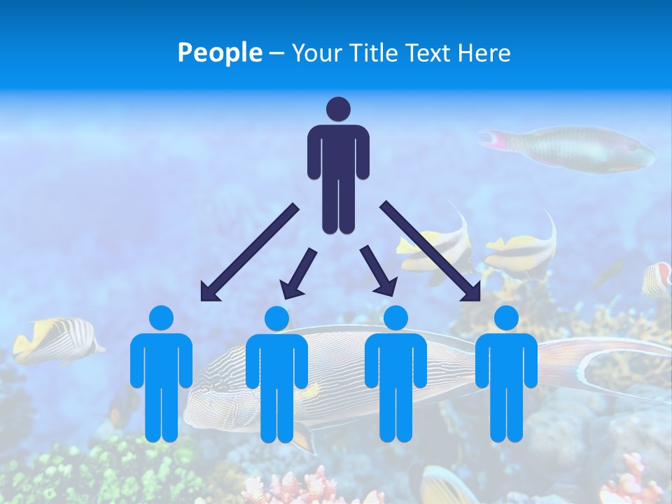 World Lagoon Colony PowerPoint Template