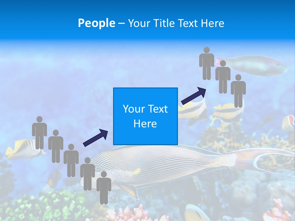 World Lagoon Colony PowerPoint Template