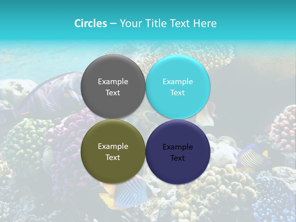 Under Depth Tahiti PowerPoint Template