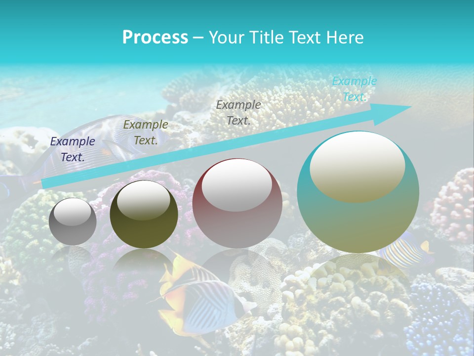 Under Depth Tahiti PowerPoint Template