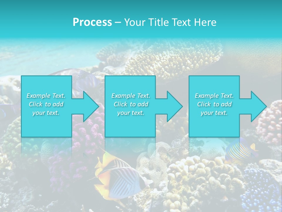 Under Depth Tahiti PowerPoint Template