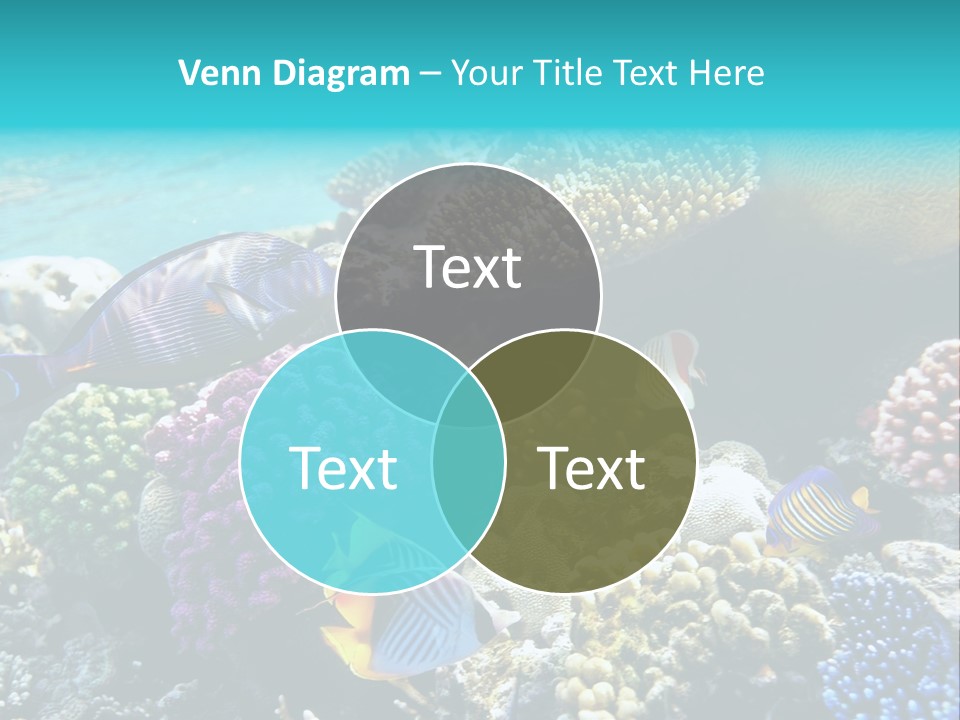 Under Depth Tahiti PowerPoint Template