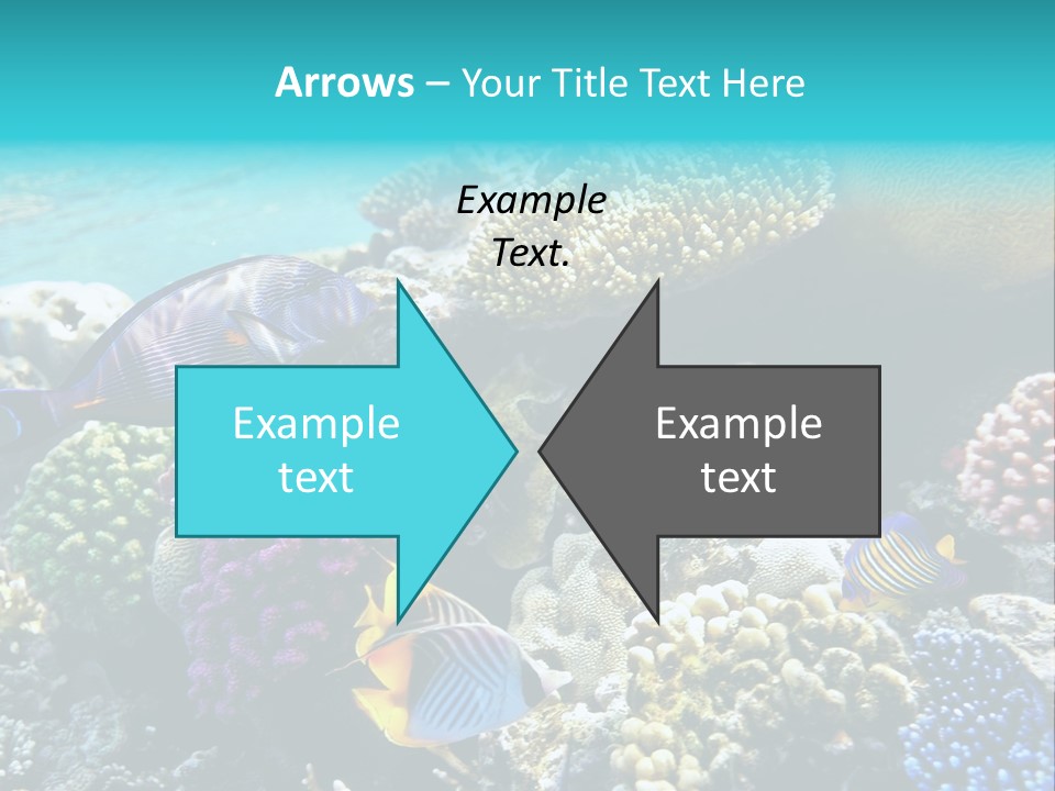 Under Depth Tahiti PowerPoint Template