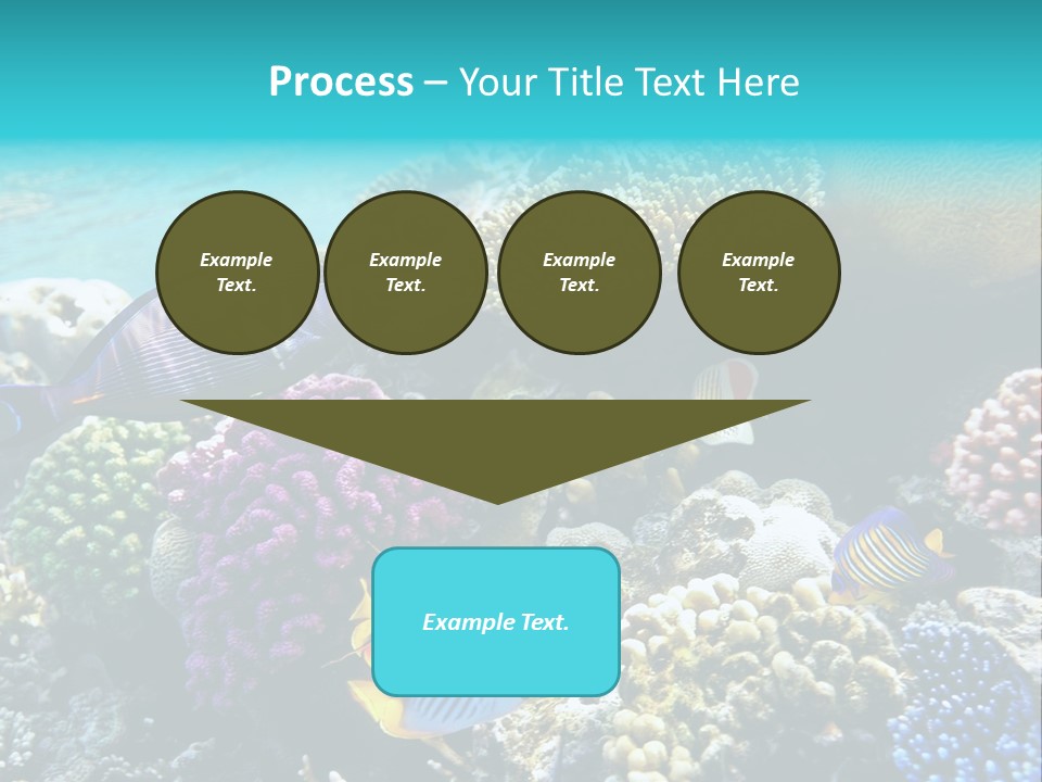 Under Depth Tahiti PowerPoint Template