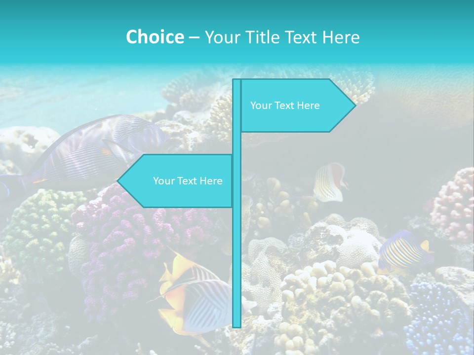 Under Depth Tahiti PowerPoint Template