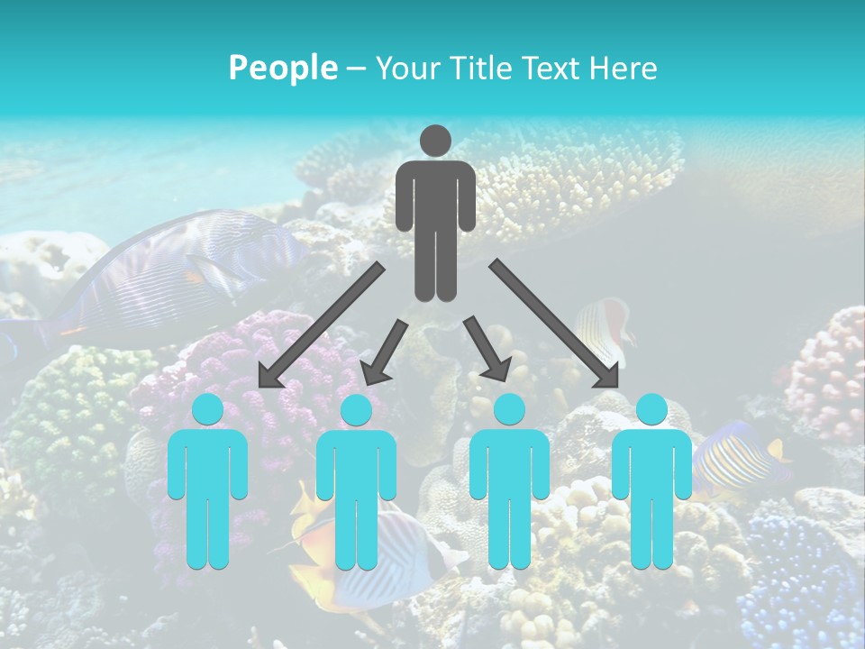 Under Depth Tahiti PowerPoint Template