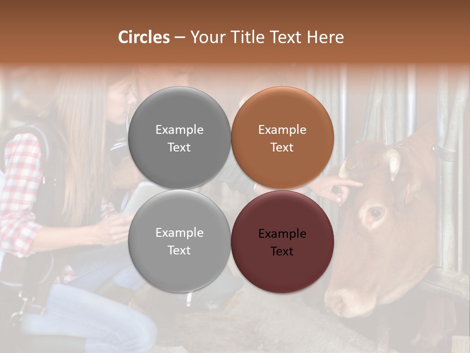 Analy I Man Milk PowerPoint Template