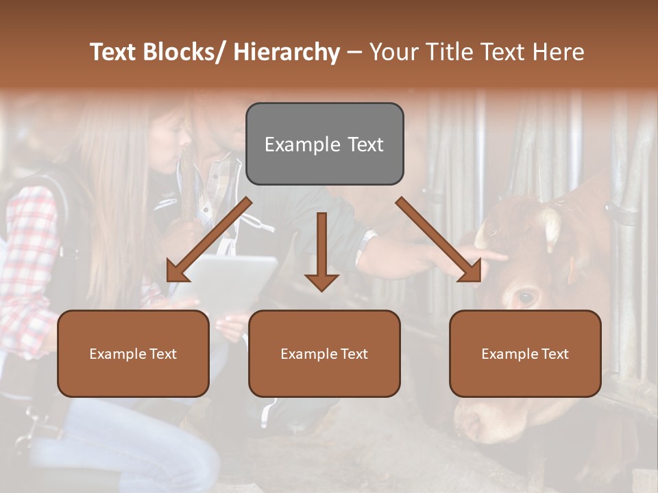 Analy I Man Milk PowerPoint Template