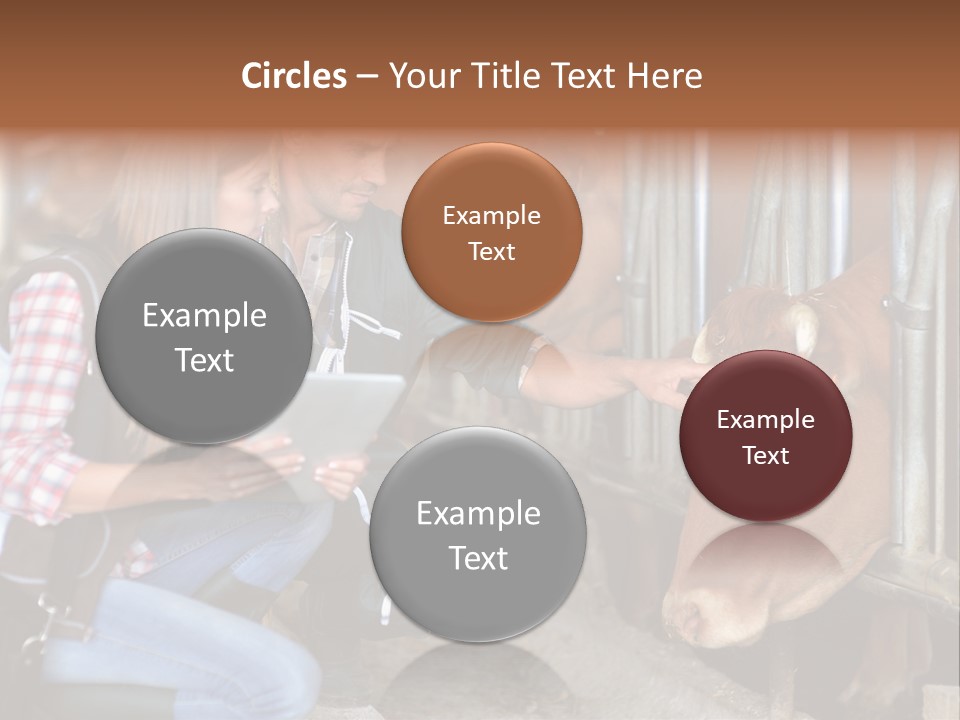 Analy I Man Milk PowerPoint Template