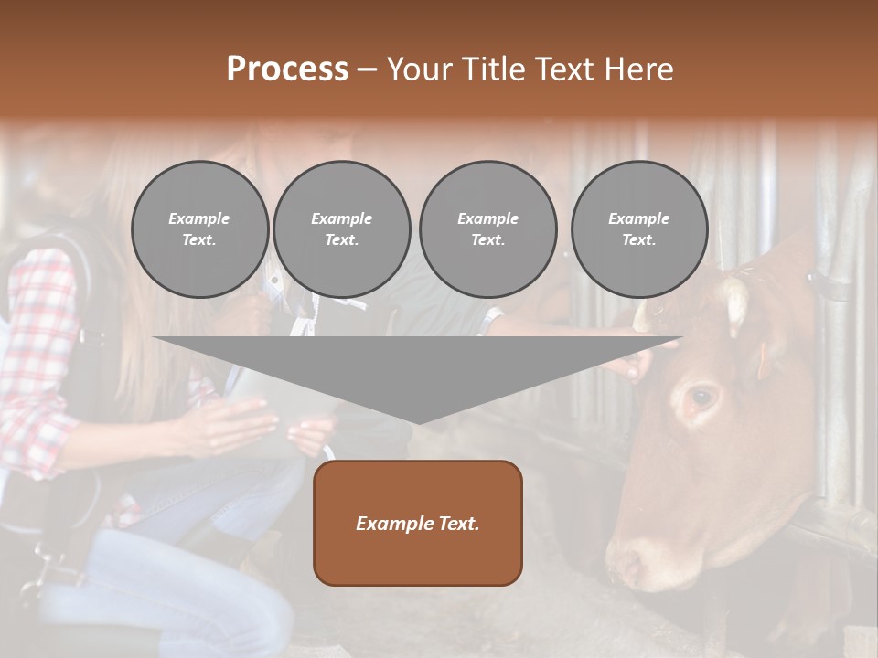 Analy I Man Milk PowerPoint Template