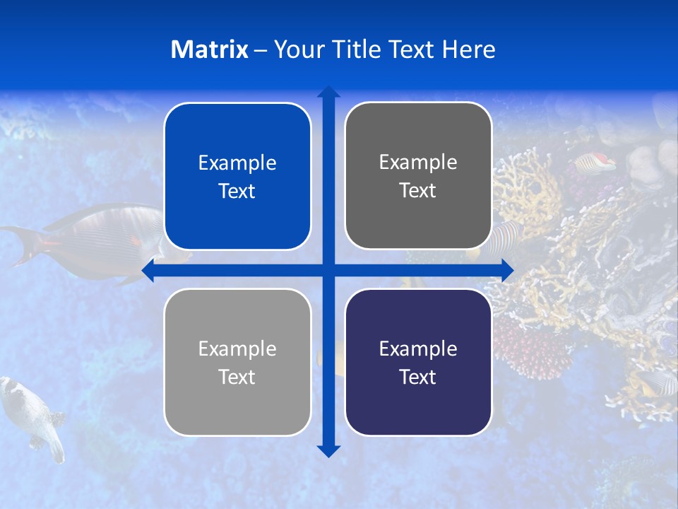 Diving Tahiti Live PowerPoint Template