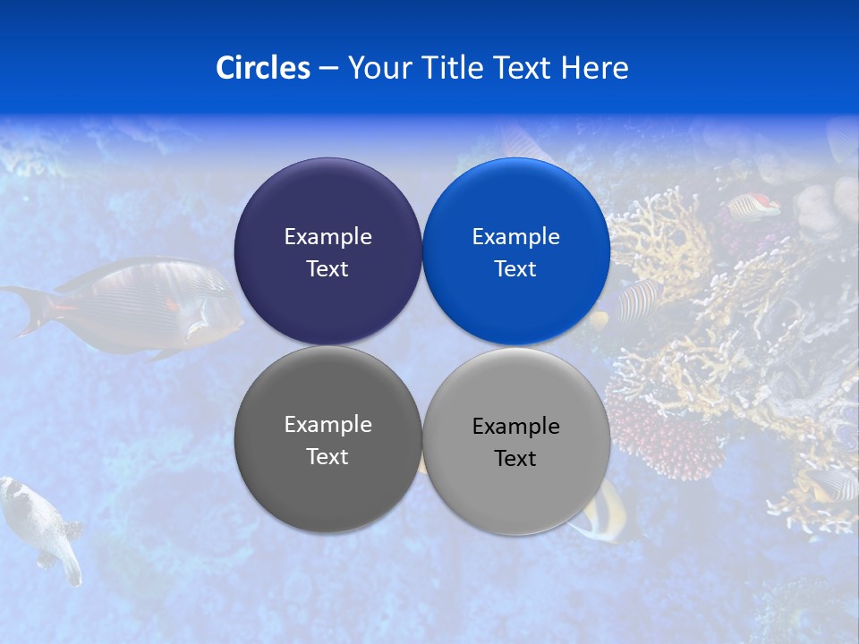 Diving Tahiti Live PowerPoint Template