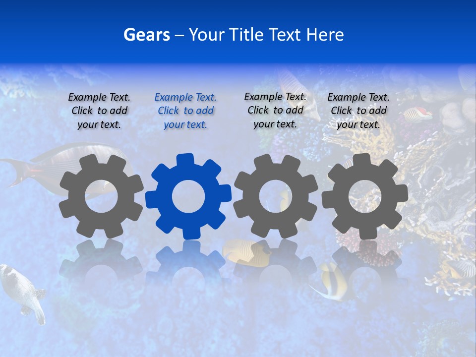 Diving Tahiti Live PowerPoint Template