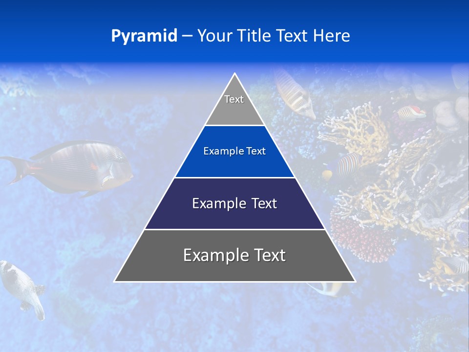 Diving Tahiti Live PowerPoint Template