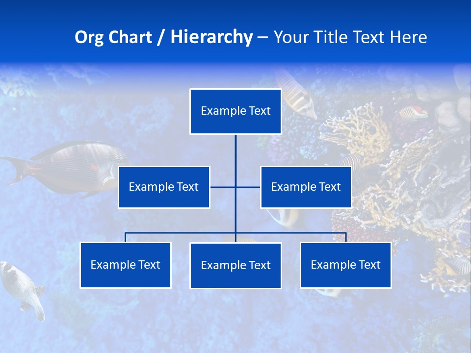 Diving Tahiti Live PowerPoint Template