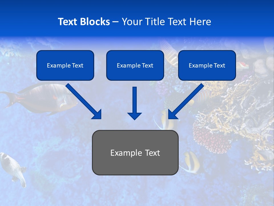 Diving Tahiti Live PowerPoint Template