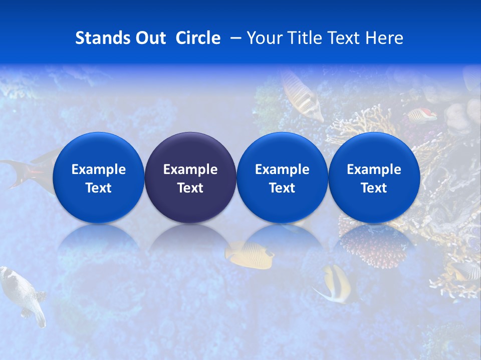 Diving Tahiti Live PowerPoint Template