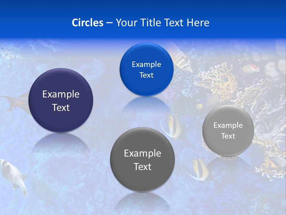 Diving Tahiti Live PowerPoint Template