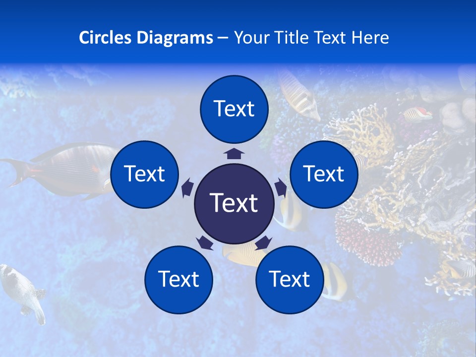 Diving Tahiti Live PowerPoint Template