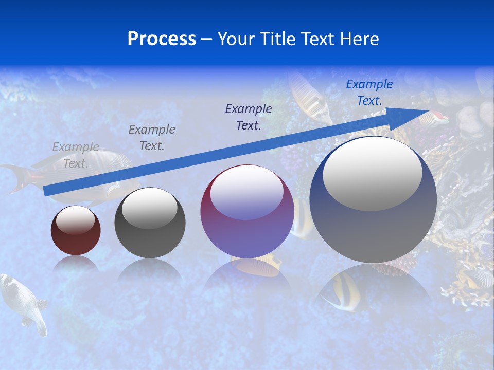 Diving Tahiti Live PowerPoint Template