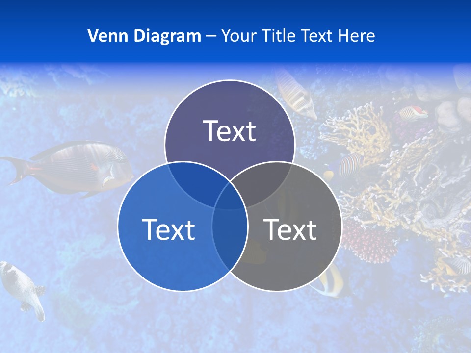 Diving Tahiti Live PowerPoint Template