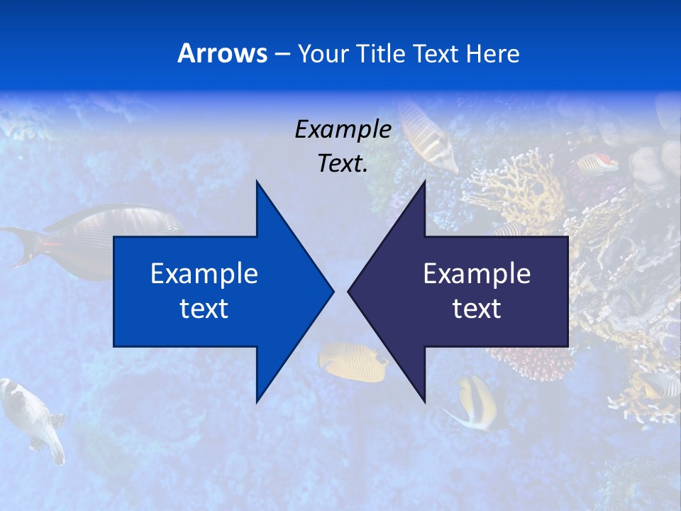 Diving Tahiti Live PowerPoint Template
