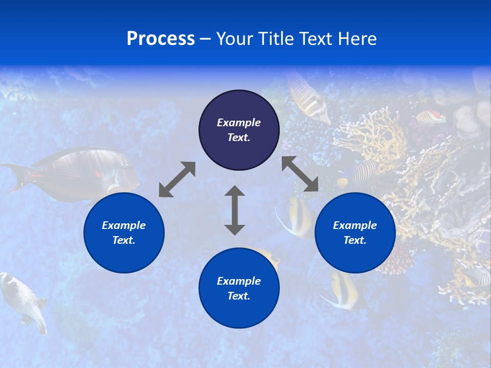 Diving Tahiti Live PowerPoint Template