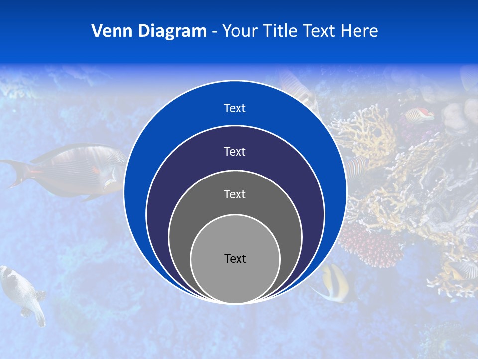 Diving Tahiti Live PowerPoint Template